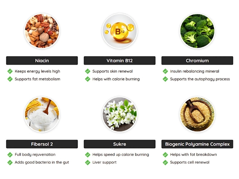 Fast Lean Pro Best Intermittent Fasting Support Supplement for Healthy Weight Loss Ingredients