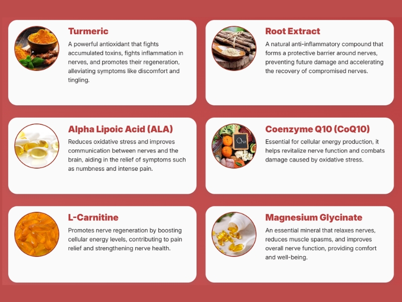 Deep Dive into NerveFreedom’s Ingredients