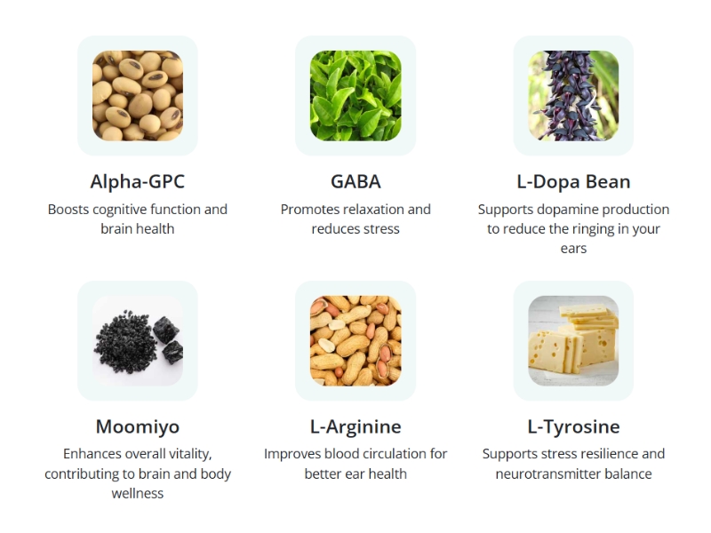 NeuroQuiet’s Potent Ingredient Breakdown – How Each Element Supports You