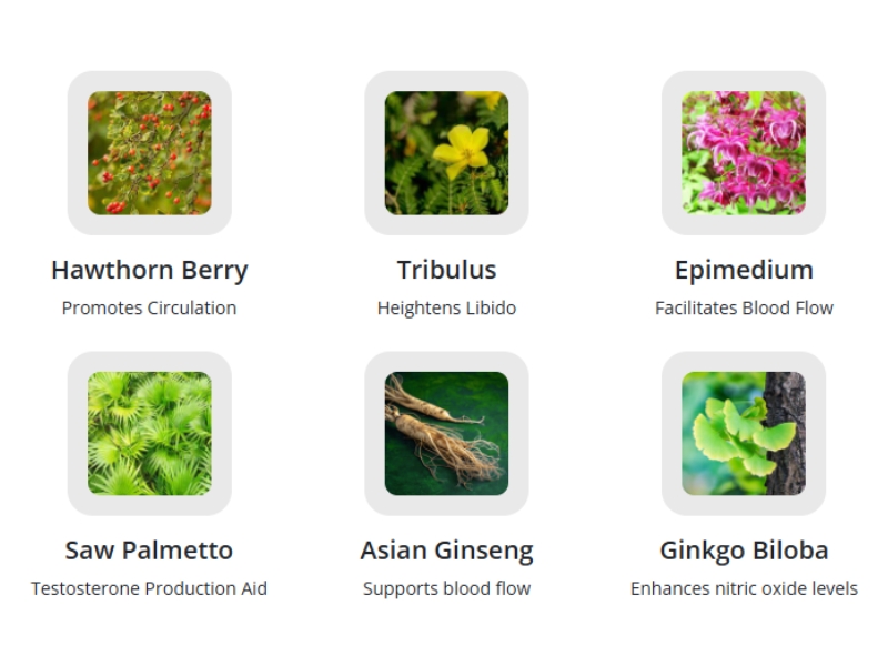 EloMaas Review The Wild Stallion Pro Herbal Science Breakthrough Formula to Support Sexual Health (StalliOnX) Ingredients