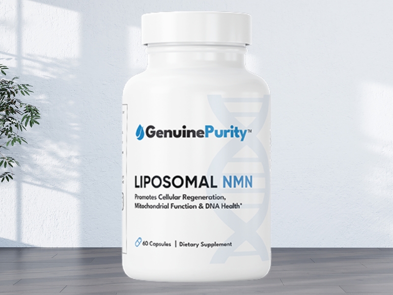 Best NMN Brand Ranked Top-Rated Anti-Aging Longevity Support Reviewed