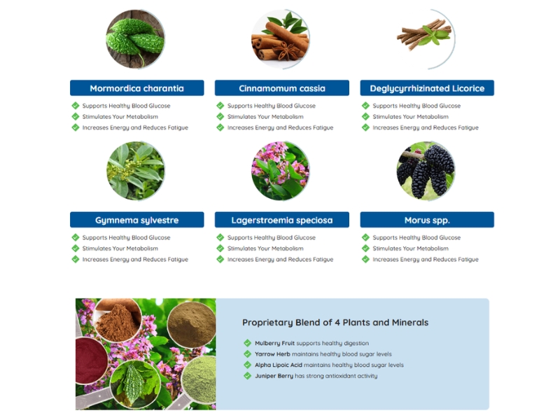 Gluco Extend Clinically-Proven Sweet Flower Extract for Supporting Healthy Blood Sugar Levels Ingredients