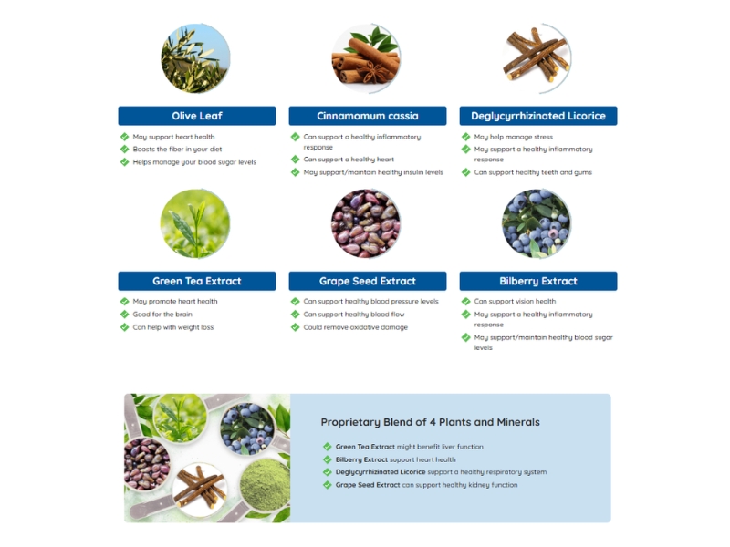 NeuroSurge Review Investigative Report Highlights Neuro Surge Ingredients