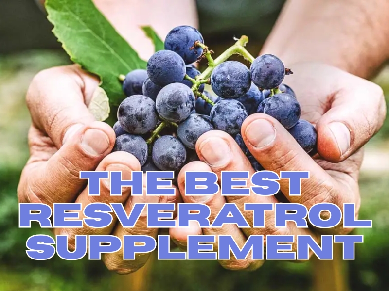 The Best Resveratrol Supplement for Healthy Anti-Aging Longevity Support GenuinePurity Resveratrol