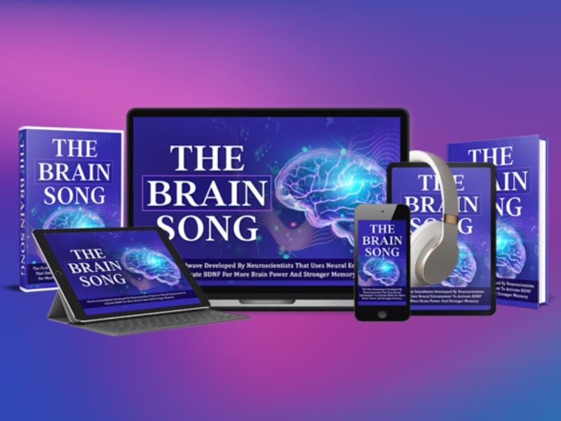 The Brain Song Criticism Reviewed Real User Complaints vs. Results of the 17-Minute Memory Trick