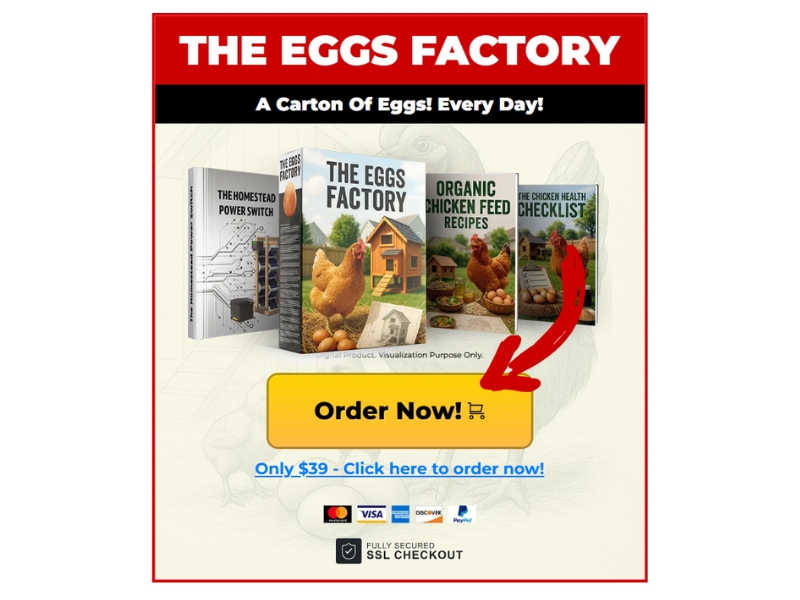 The Eggs Factory Review How to Get Eggs from a Backyard Chicken Coop and Hen Farm Price